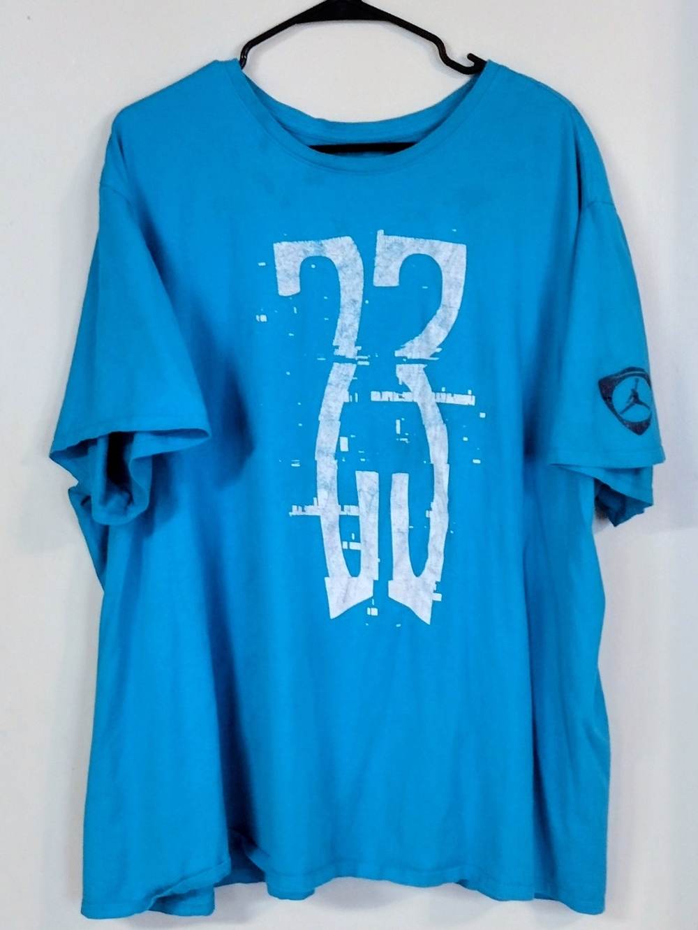Jordan Men’s "Tortoise" Graphic Tee with White '23' Print